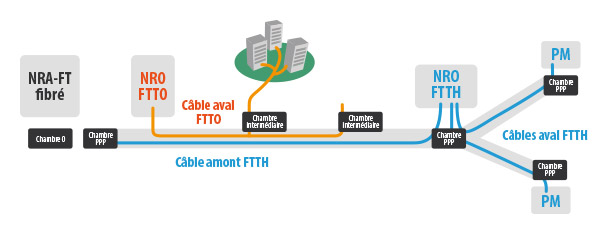 Ftto schema