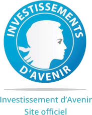 investissements davenir