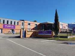 vignette purplecampus